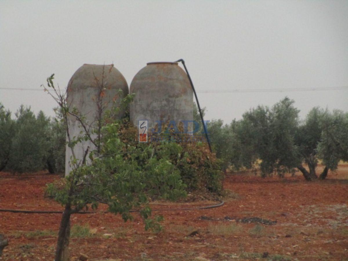 For sale of house in Valdepeñas