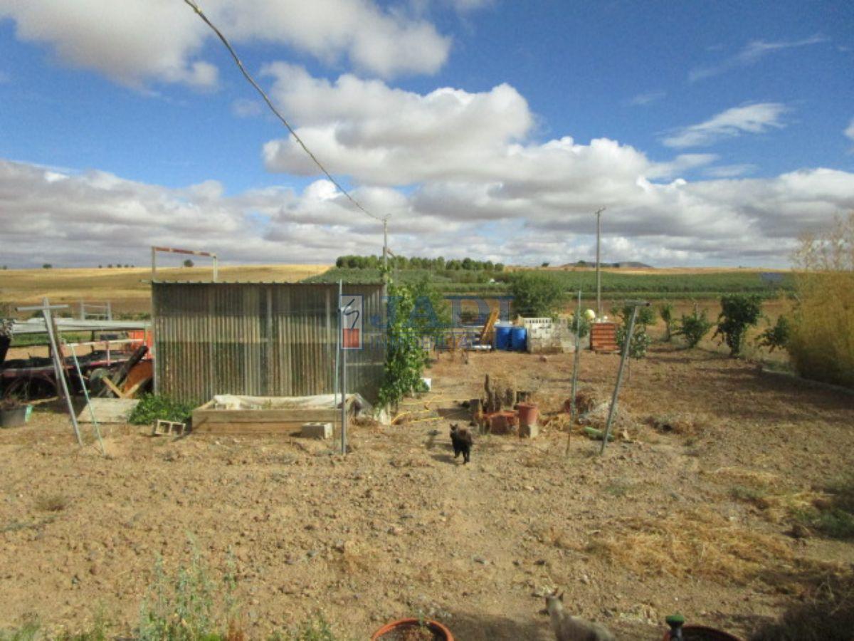 For sale of house in Valdepeñas