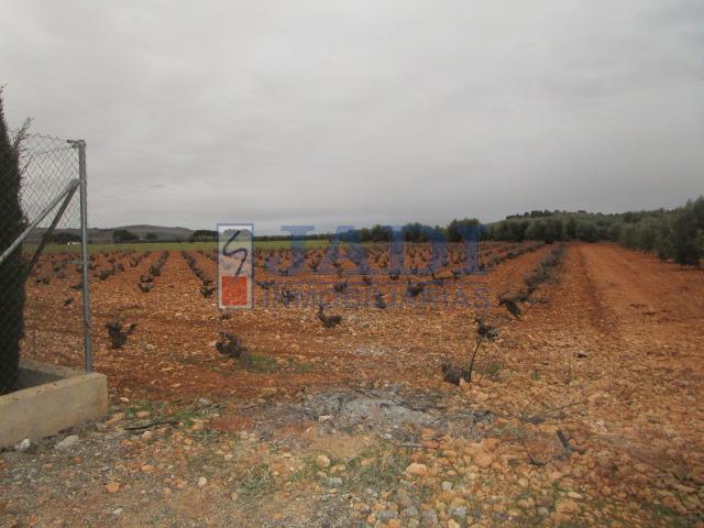 Vendita di casa in Valdepeñas