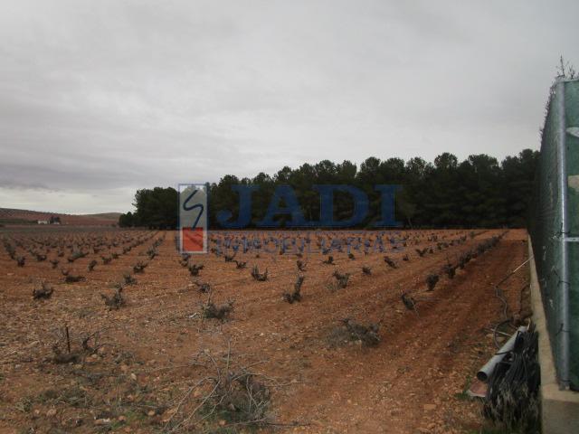 Vendita di casa in Valdepeñas
