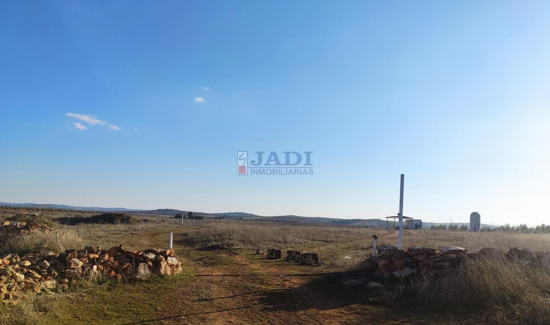 Venta de finca rústica en Valdepeñas