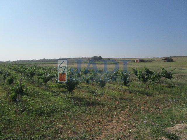 Venta de casa en Valdepeñas