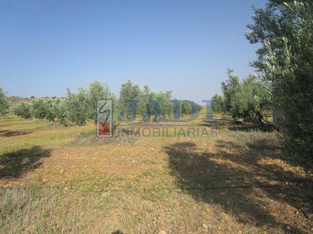 Venta de casa en Valdepeñas