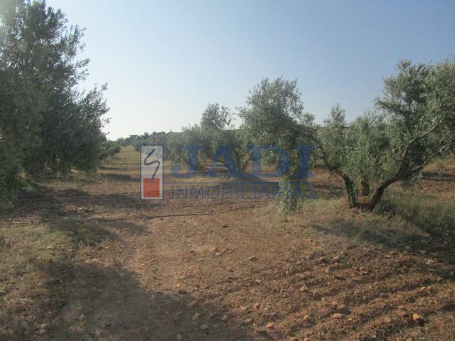 Venta de casa en Valdepeñas