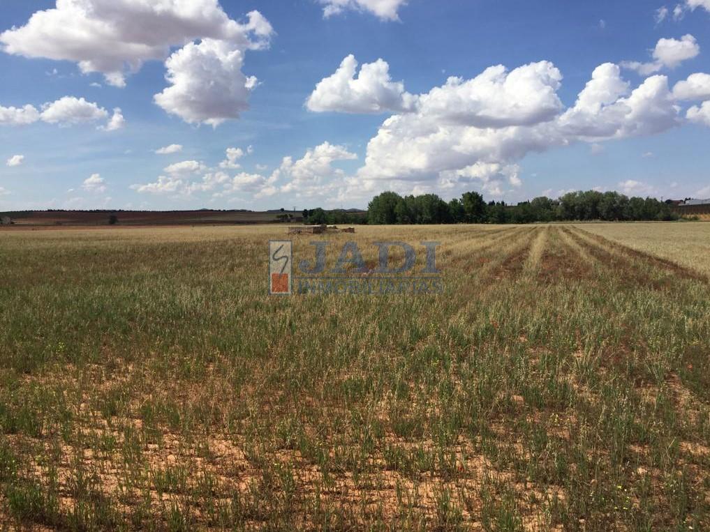 For sale of rural property in Alcubillas