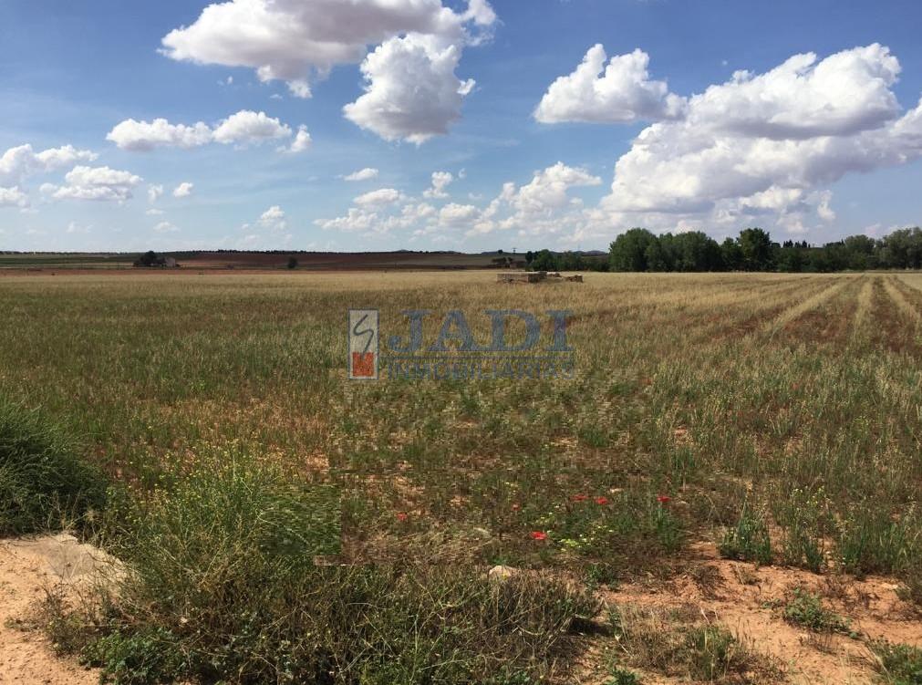 For sale of rural property in Alcubillas
