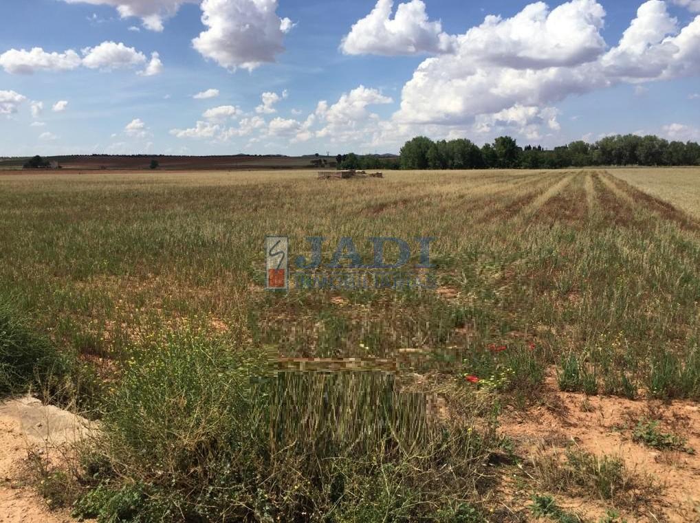 For sale of rural property in Alcubillas