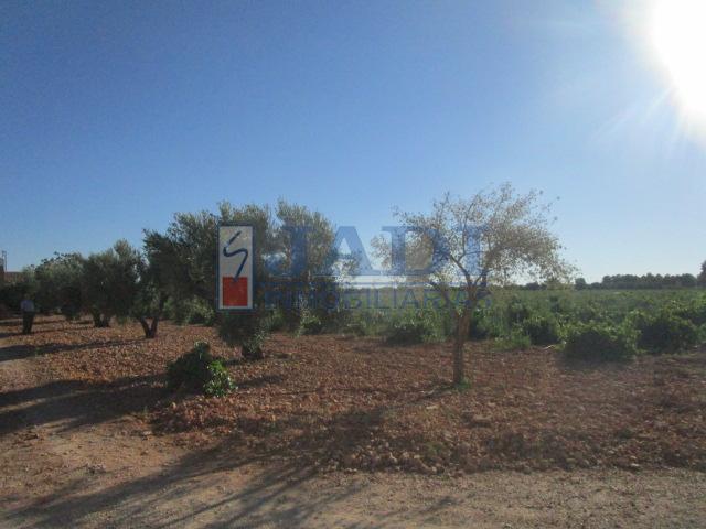 Venta de casa en Valdepeñas