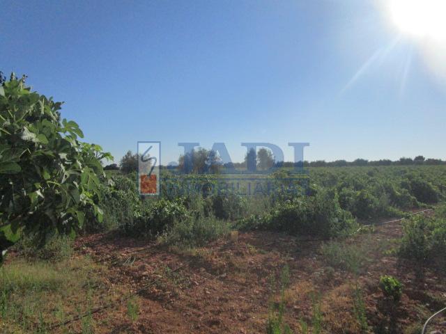 Venta de casa en Valdepeñas