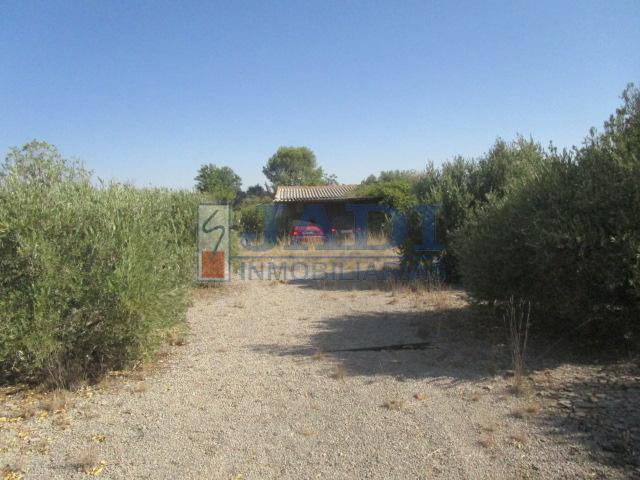 Venta de finca rústica en Valdepeñas