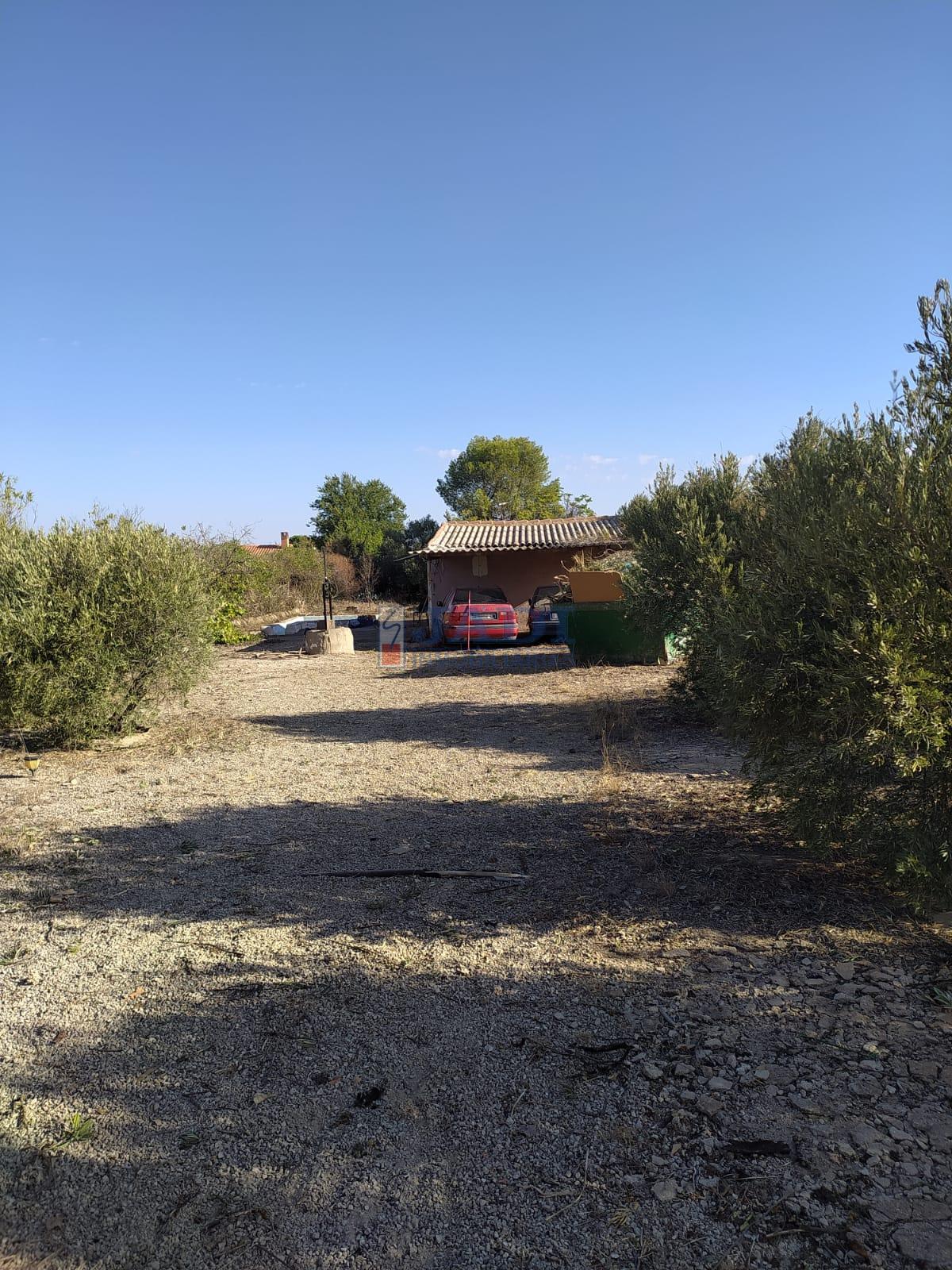 Venta de finca rústica en Valdepeñas