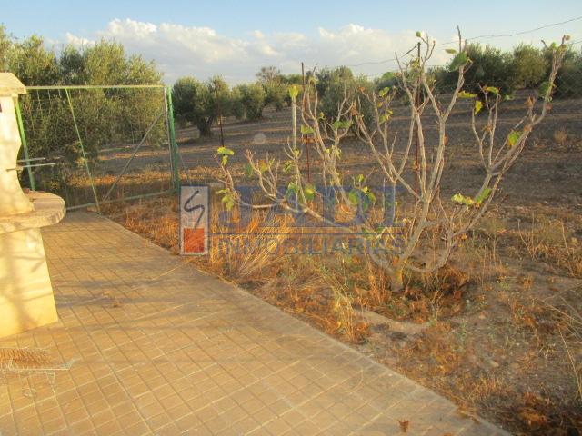 For sale of house in Valdepeñas