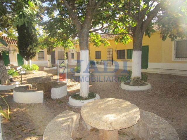 For sale of house in Valdepeñas