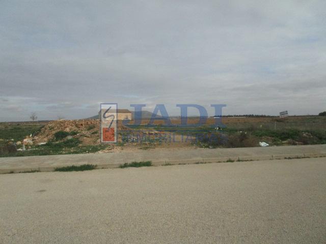 For sale of land in Valdepeñas