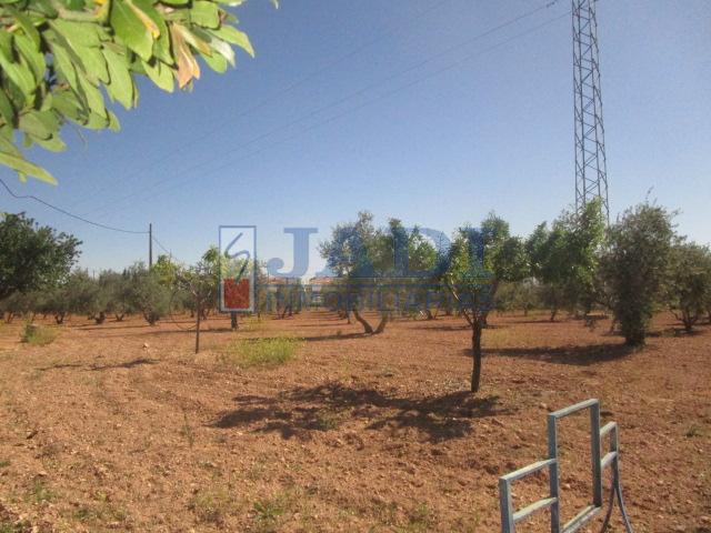 Venta de casa en Valdepeñas