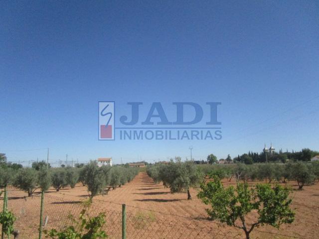 Venta de casa en Valdepeñas