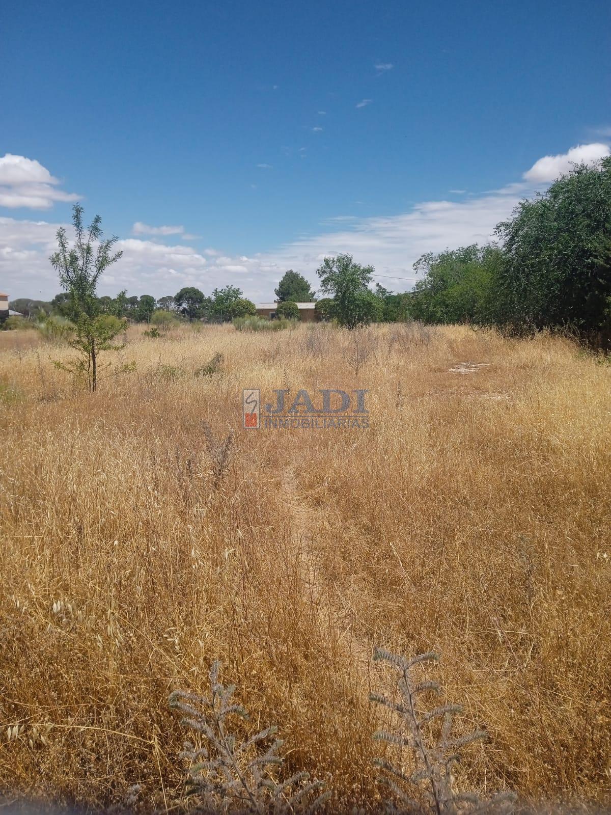 Venda de propriedade rural em Valdepeñas