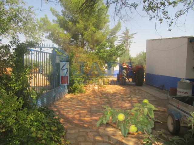 Venta de casa en Valdepeñas