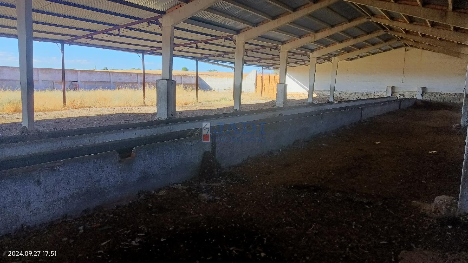 Venta de finca rústica en Valdepeñas
