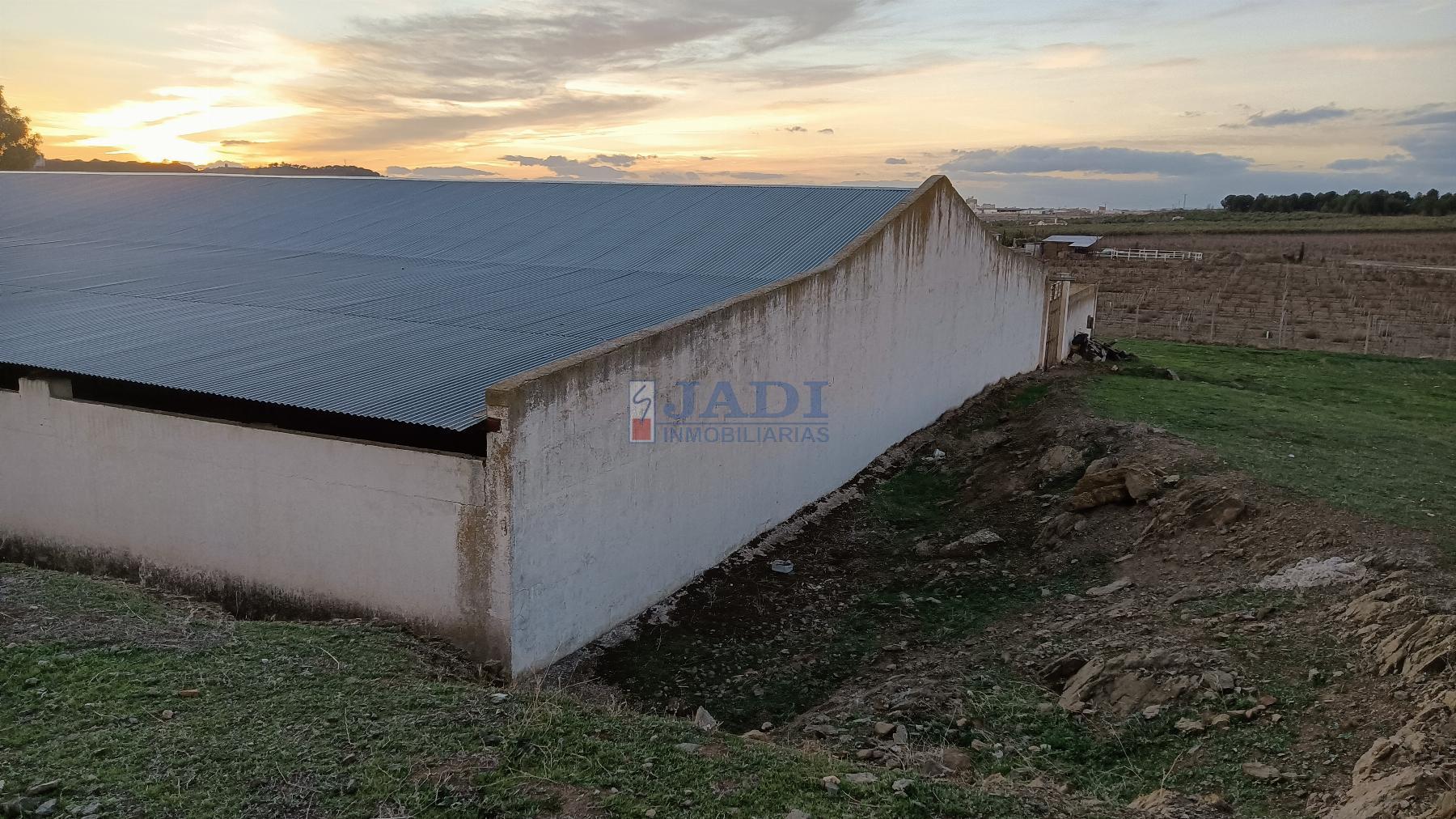 Venta de finca rústica en Valdepeñas