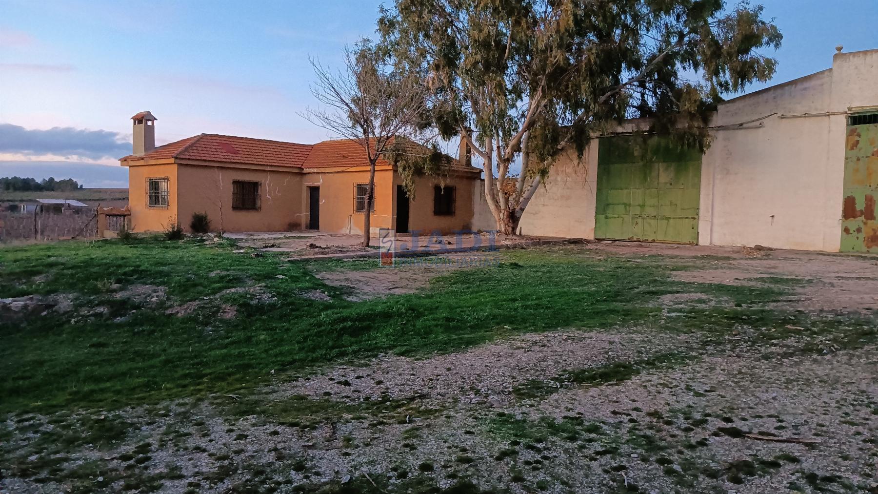 Venta de finca rústica en Valdepeñas