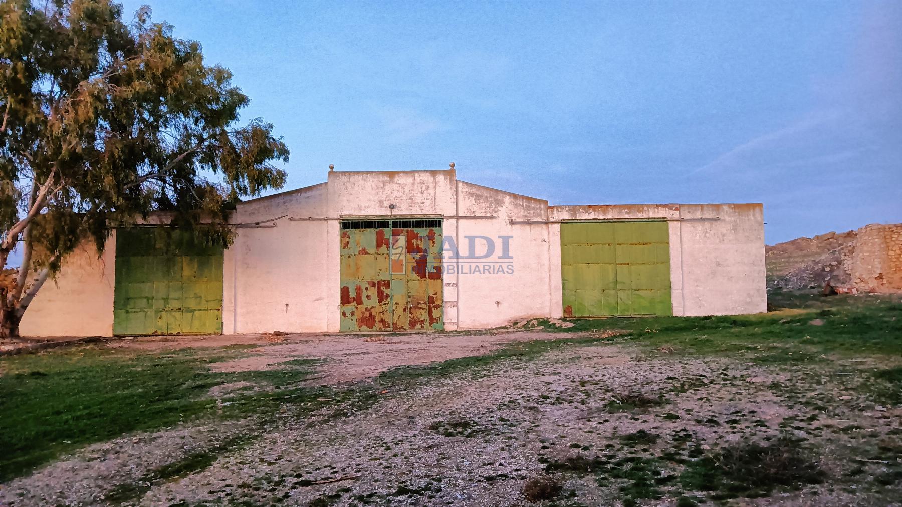 Venta de finca rústica en Valdepeñas