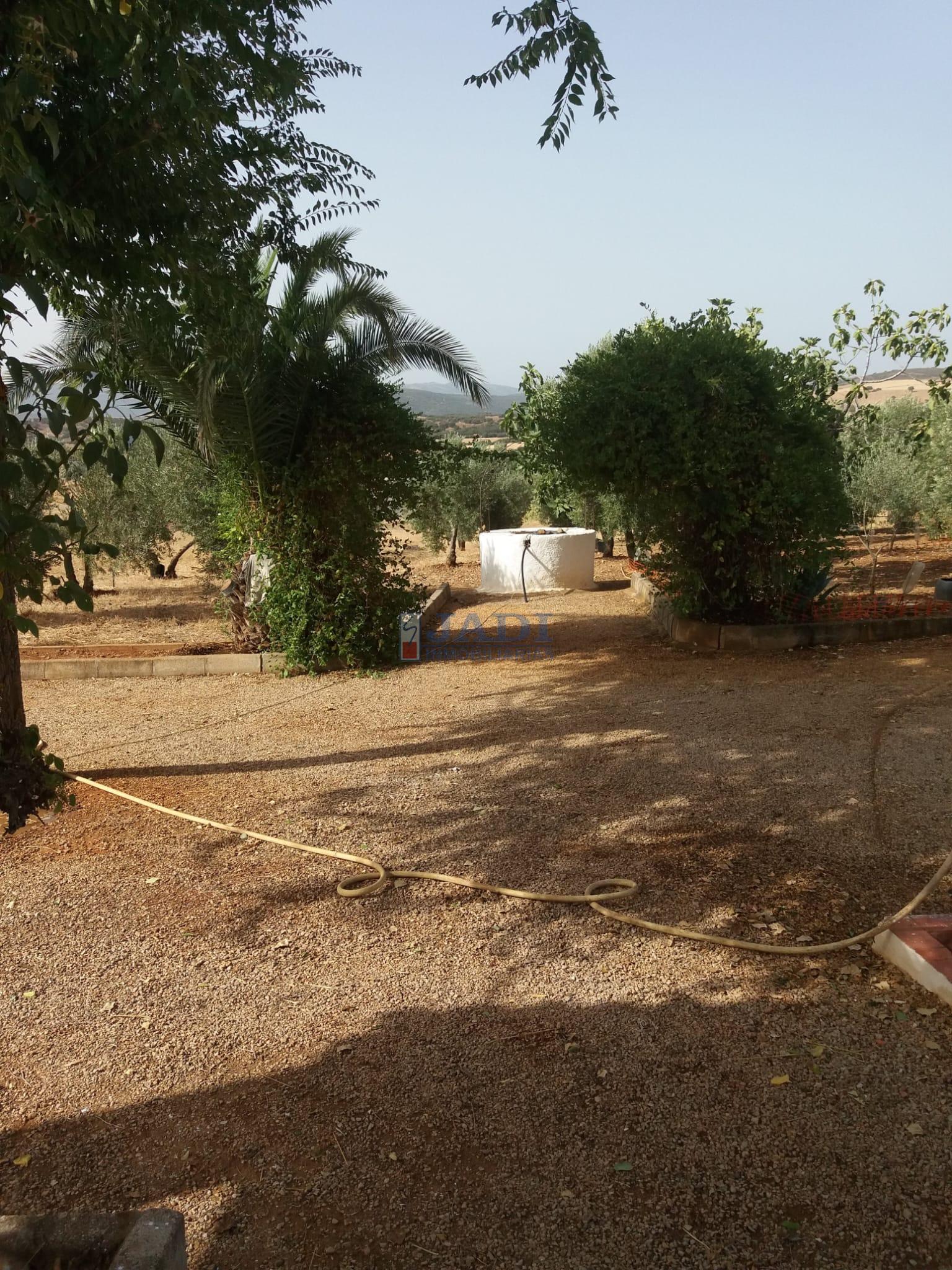 For sale of rural property in Almuradiel