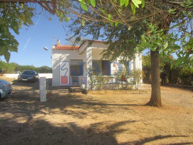 For sale of rural property in Almuradiel