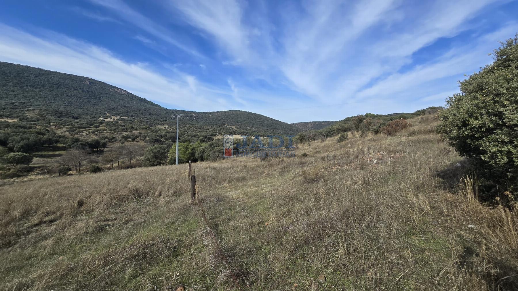 Venta de chalet en Almuradiel