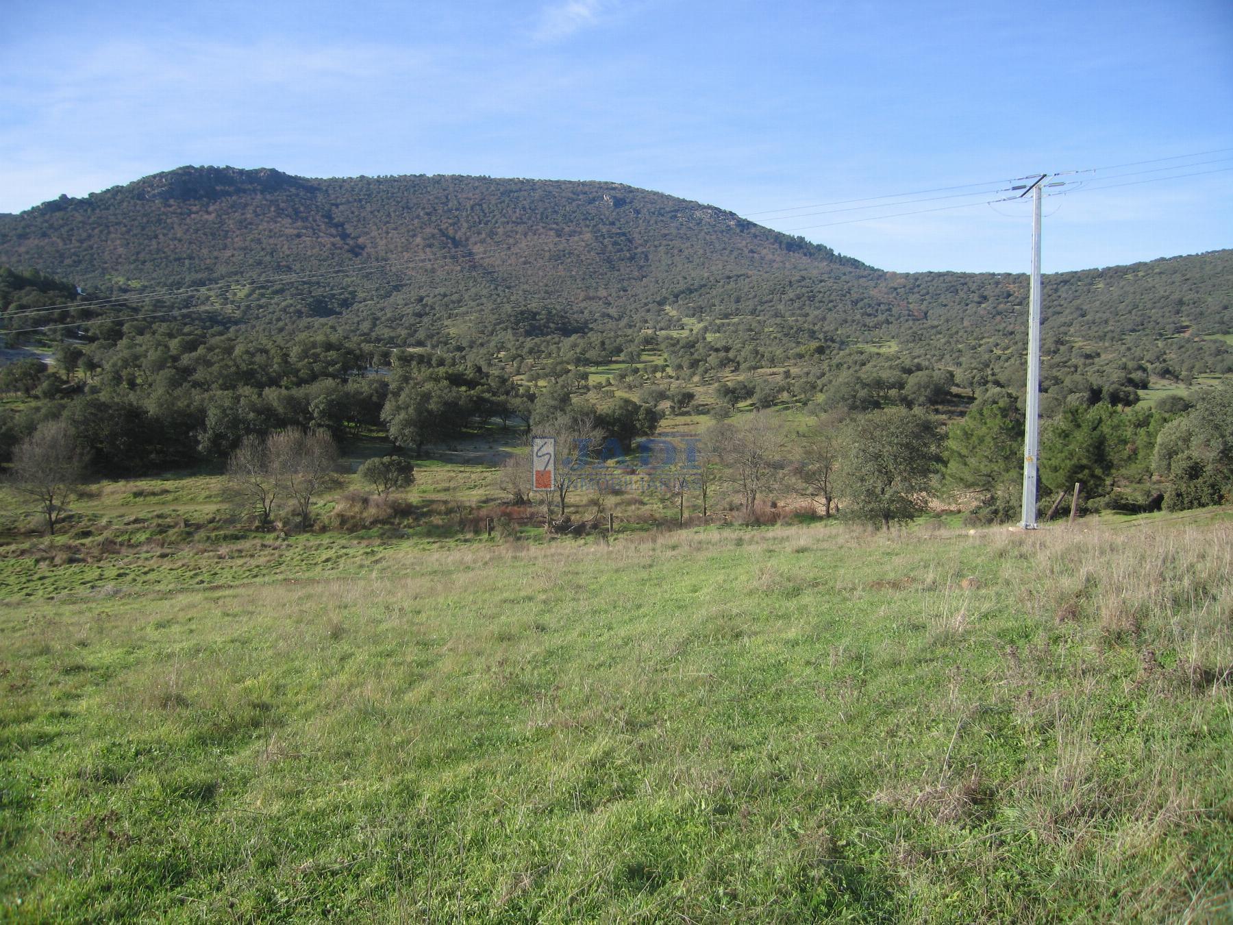 Venta de chalet en Almuradiel