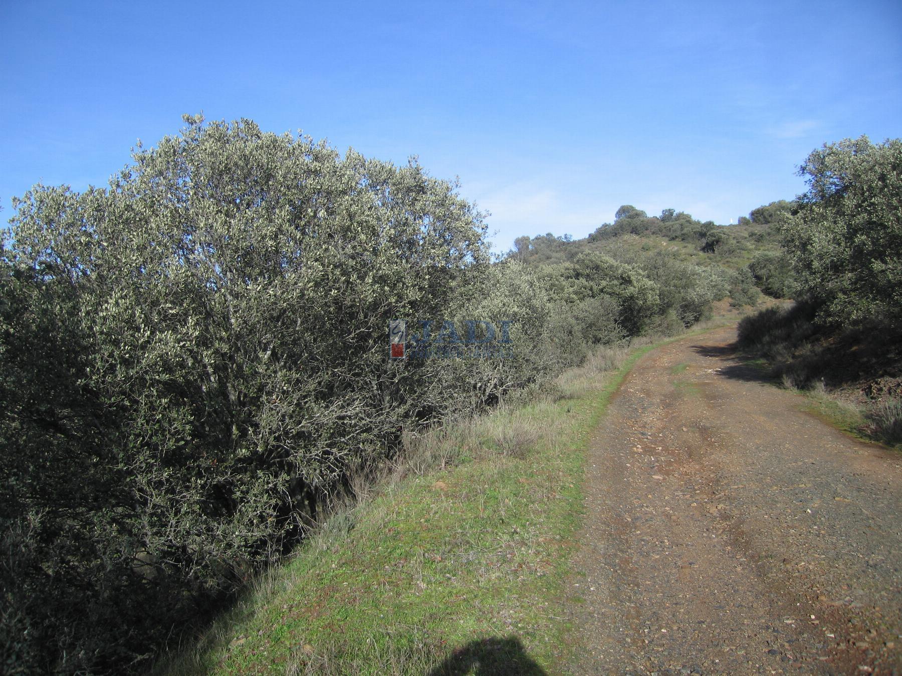 Venta de chalet en Almuradiel