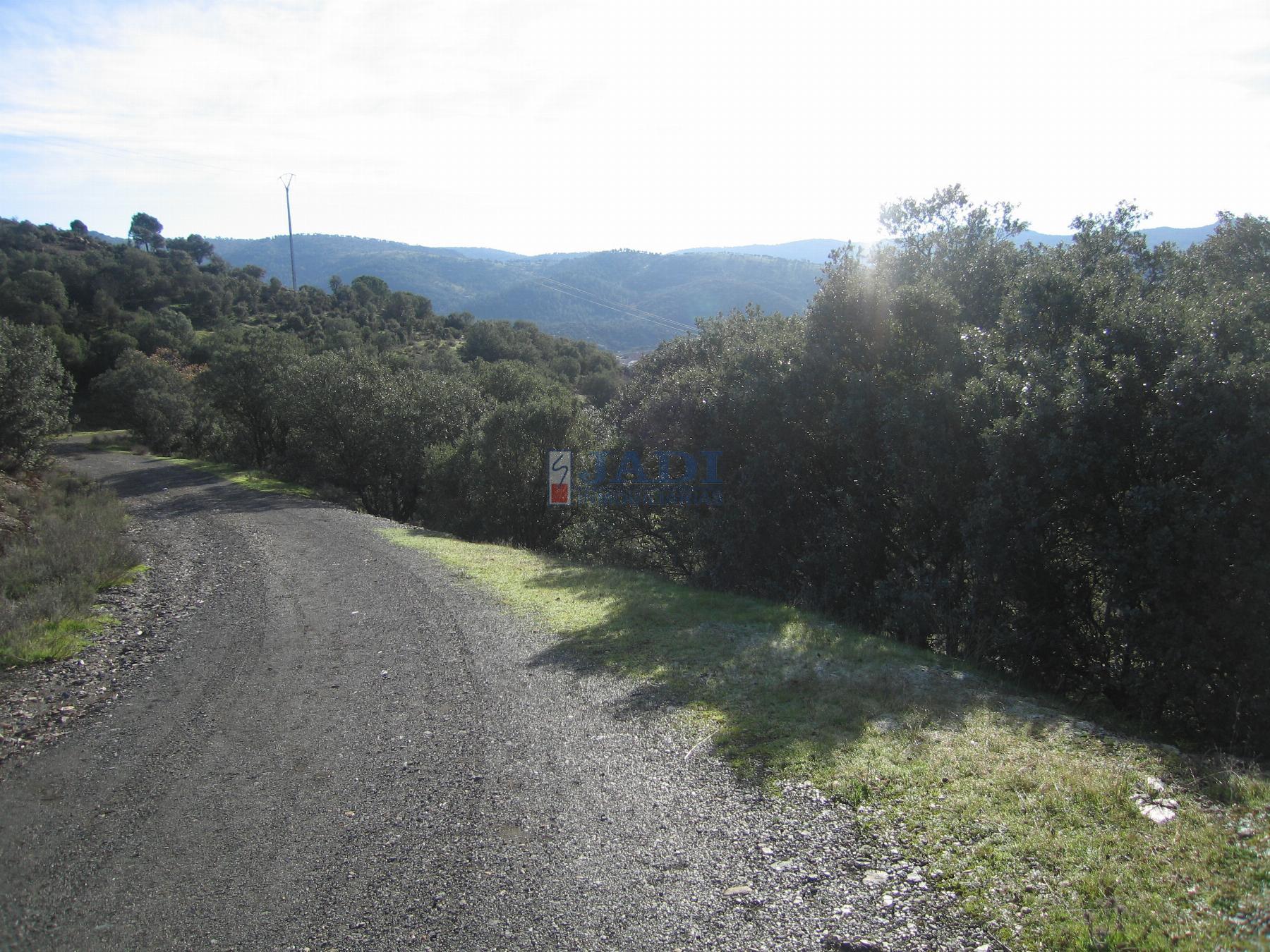 Venta de chalet en Almuradiel