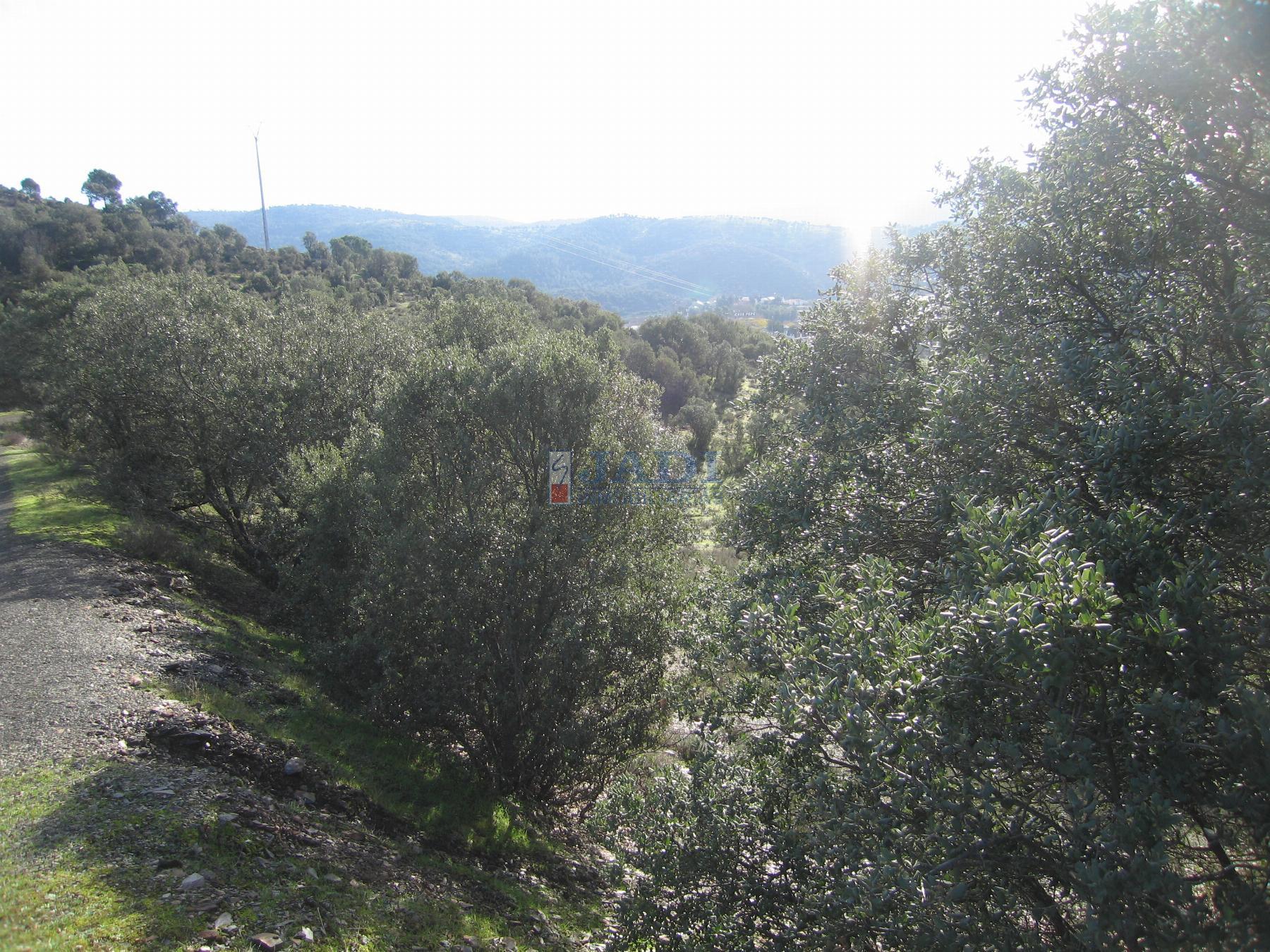 Venta de chalet en Almuradiel