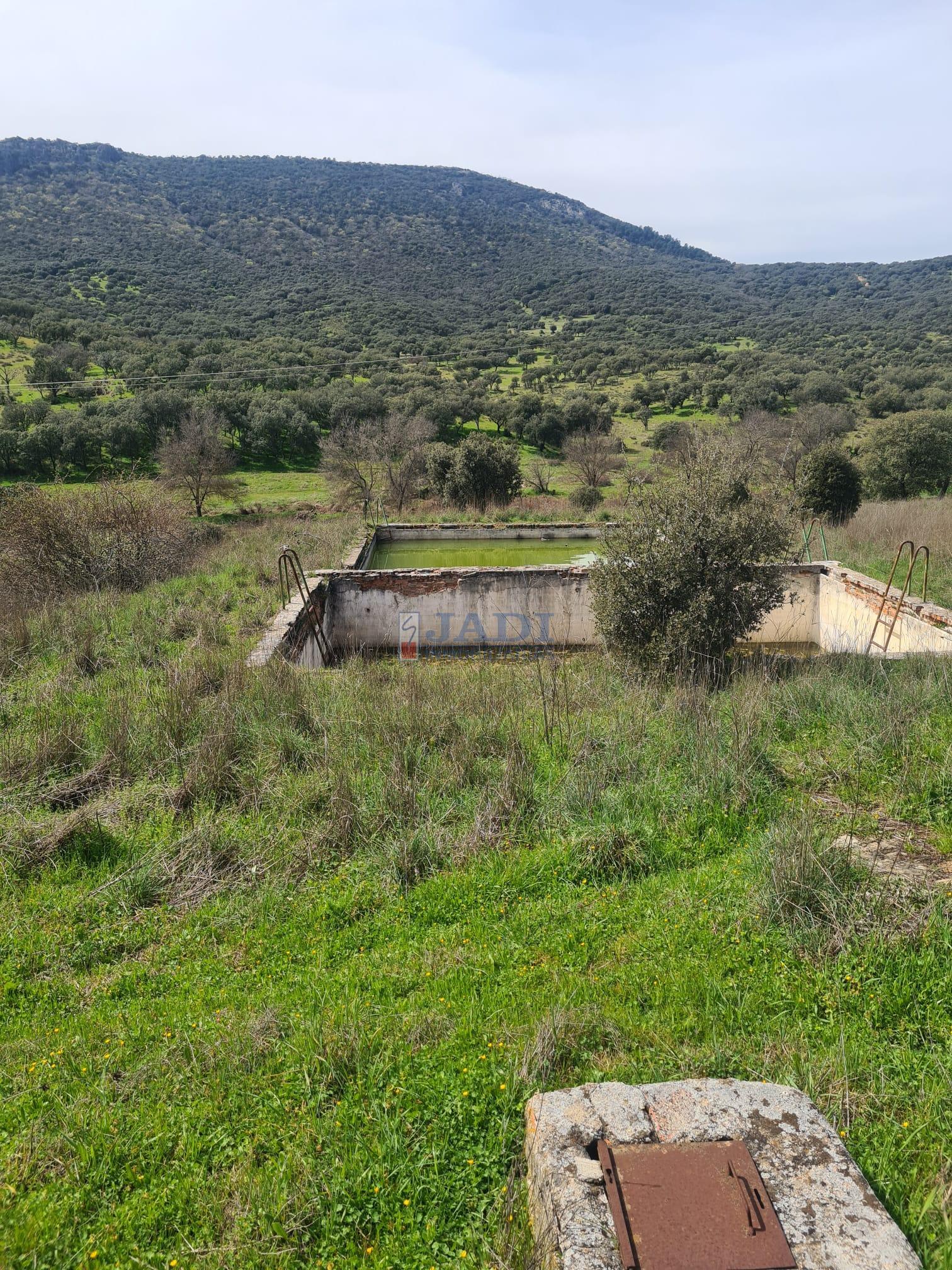 Venta de chalet en Almuradiel