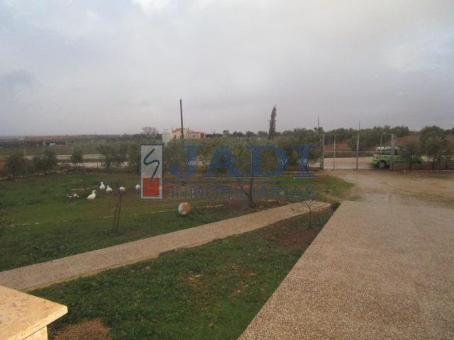 For sale of house in Valdepeñas