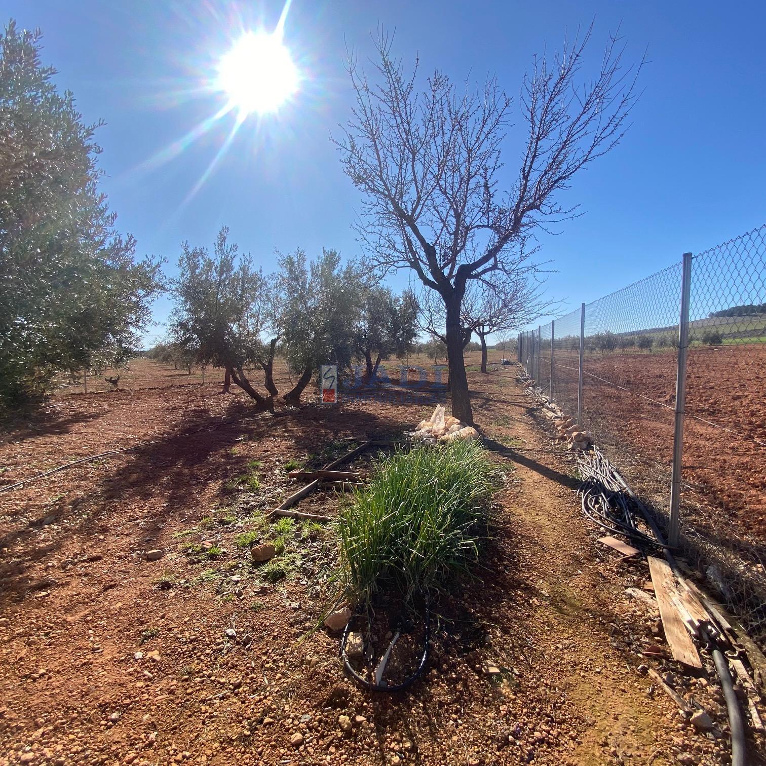 For sale of house in Valdepeñas