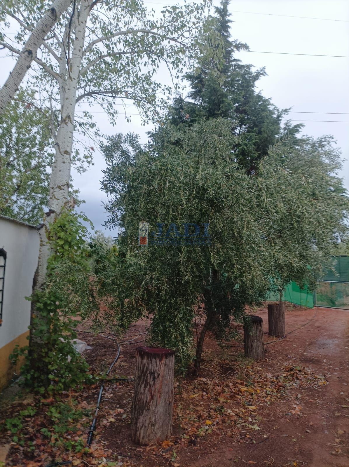 Venta de casa en Valdepeñas