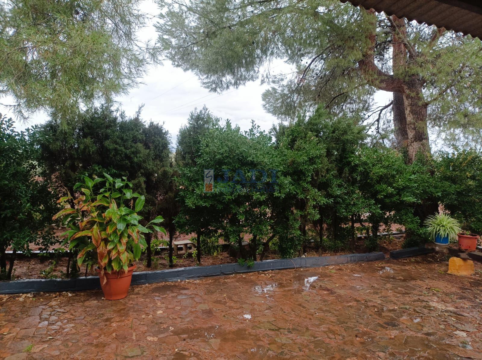 Venta de casa en Valdepeñas