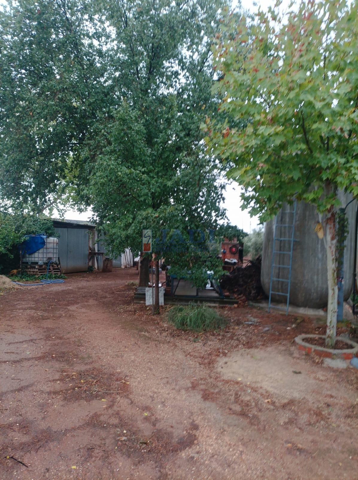 Venta de casa en Valdepeñas