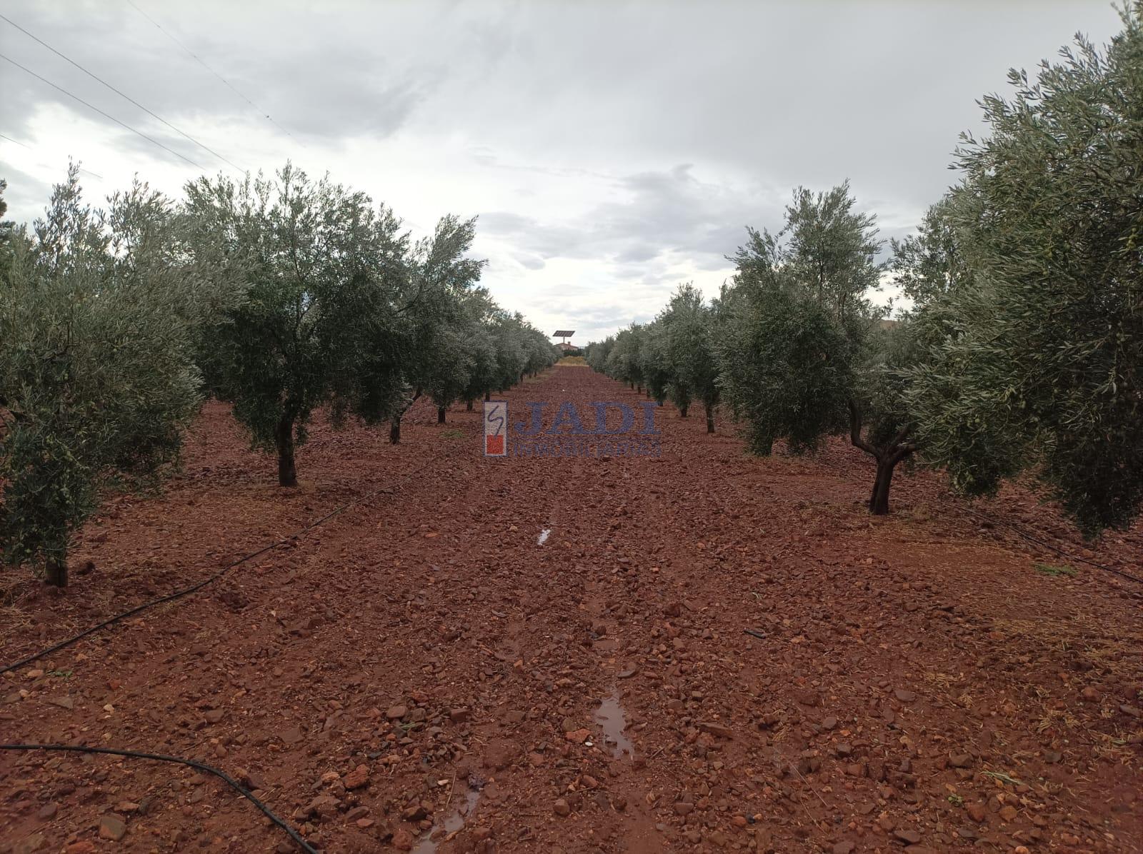 Venta de casa en Valdepeñas