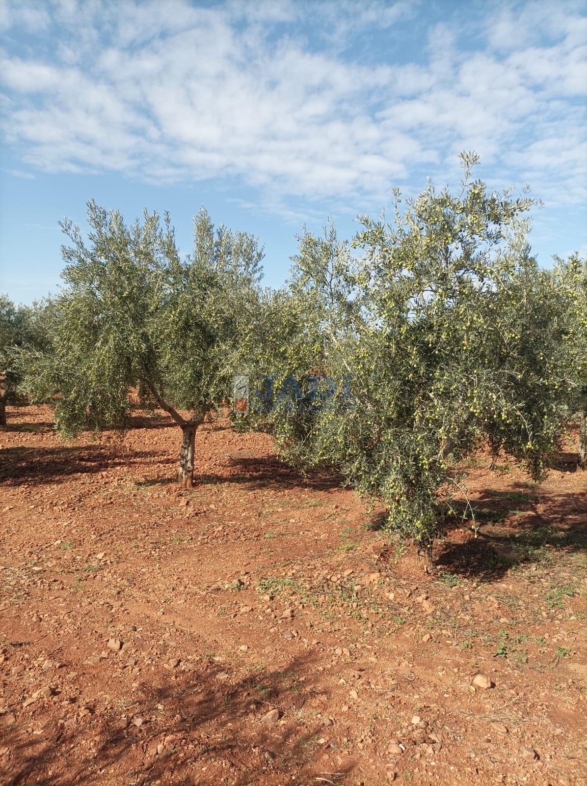 Venta de casa en Valdepeñas