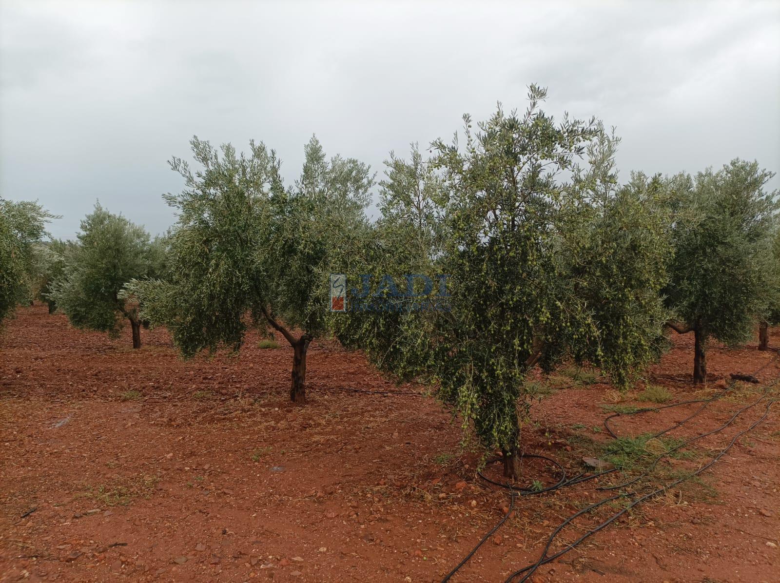 Venta de casa en Valdepeñas
