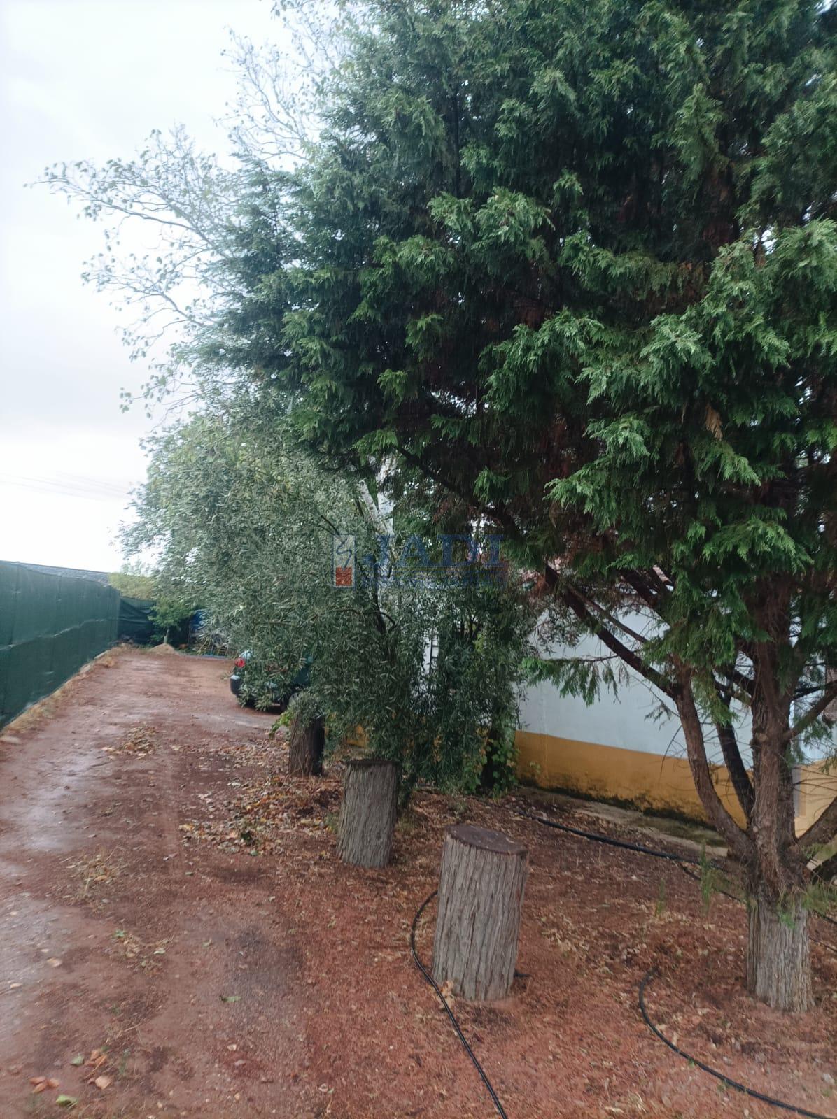 Venta de casa en Valdepeñas