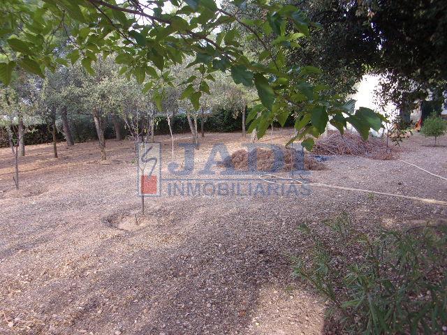 Venta de casa en Valdepeñas