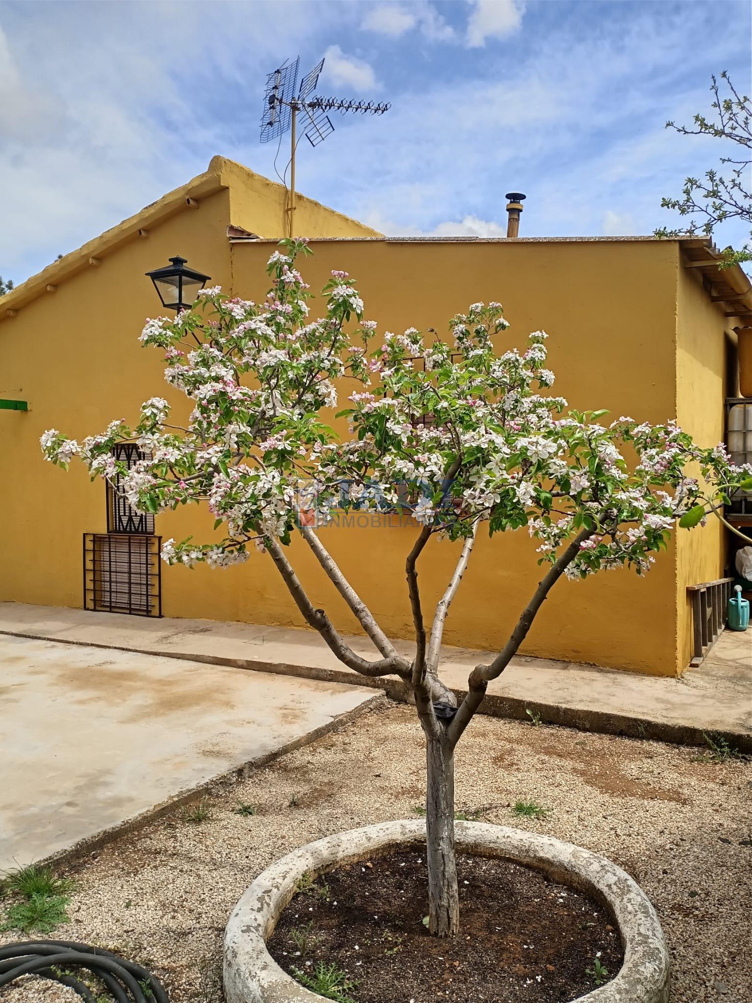Venta de casa en Valdepeñas