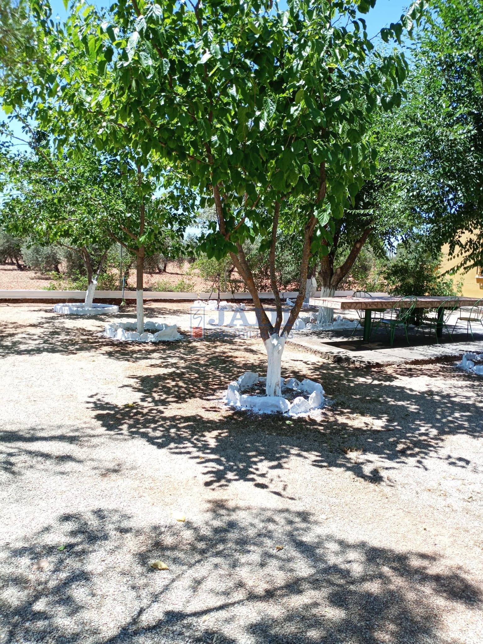 Venta de casa en Valdepeñas