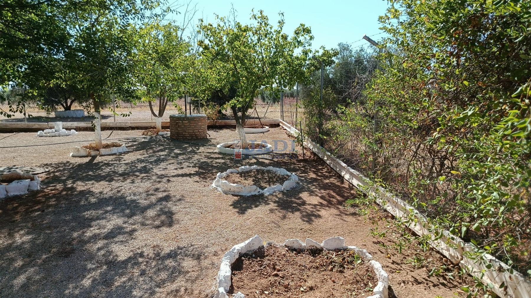 Venta de casa en Valdepeñas