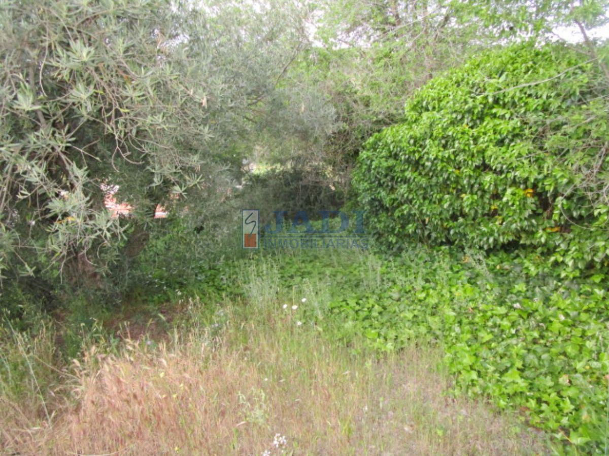 For sale of rural property in Valdepeñas