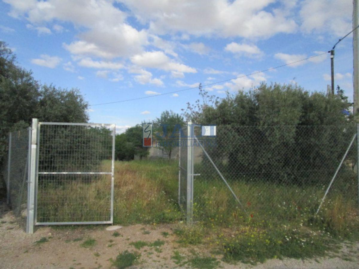 For sale of rural property in Valdepeñas