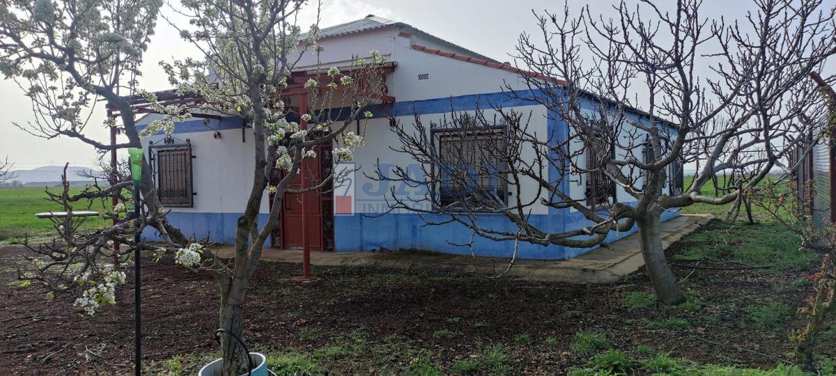 Zu verkaufen von haus in
 Valdepeñas